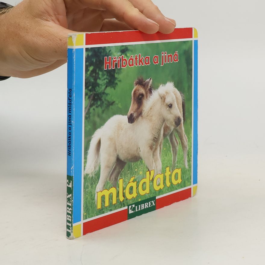 Autorenkollektiv Hříbátka a jiná mláďata