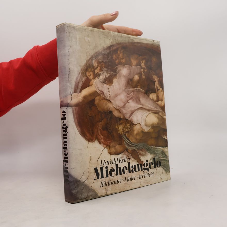 Michelangelo Michelangelo