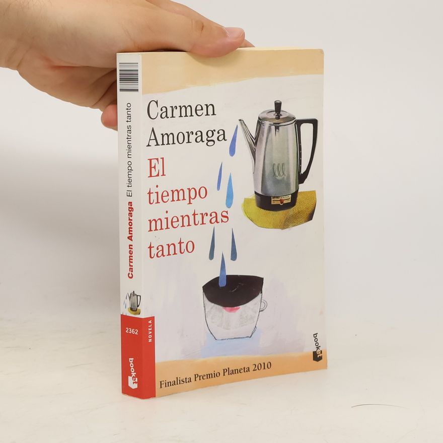 Carmen Amoraga El tiempo mientras tanto