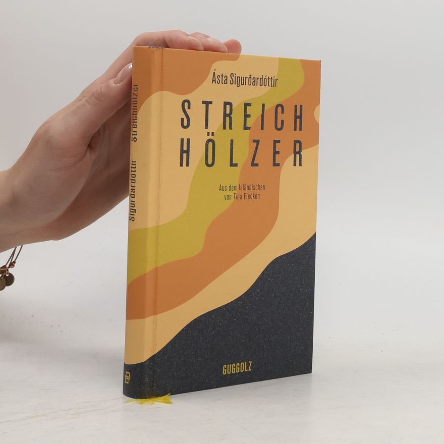 Ásta Fanney Sigurðardóttir Streichhölzer Erzählungen