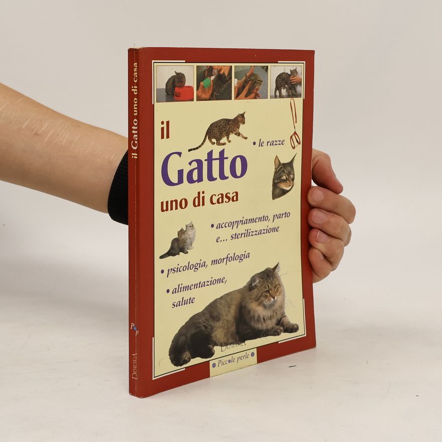 Silvana Franconeri Il gatto uno di casa