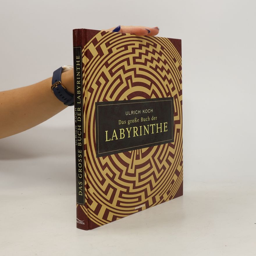 Ulrich Koch Das große Buch der Labyrinthe