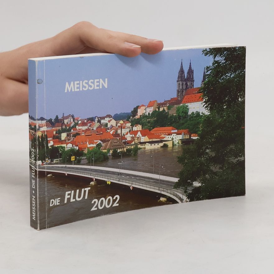 Autorenkollektiv Meissen. Die Flut 2002