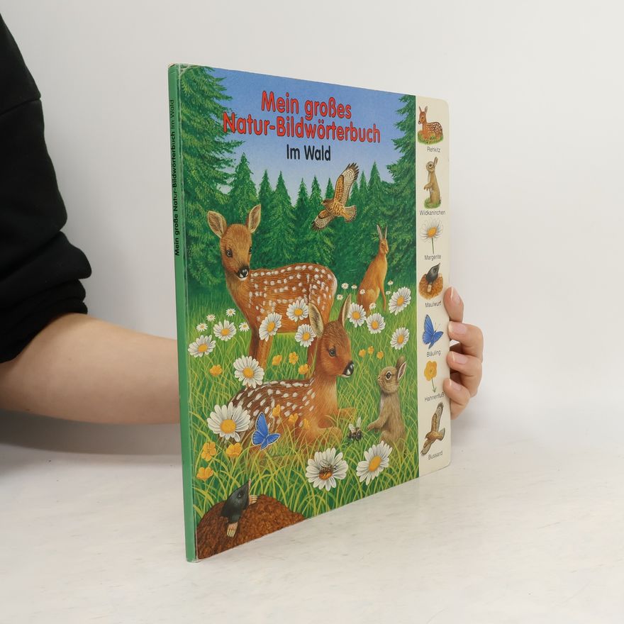 Kolektiv autorů Mein grosses Natur-Bildwörterbuch
