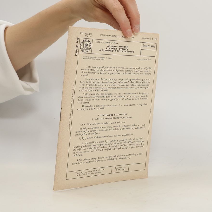 Autorenkollektiv Akumulátorové a nabíjecí stanice a stanoviště akumulátorů