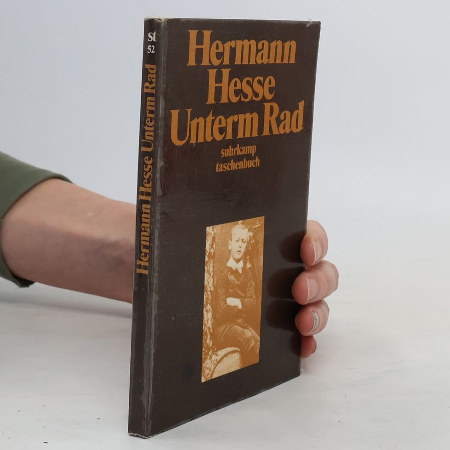 Reinhard Kaiser-Mühlecker Wiedersehen in Fiumicino