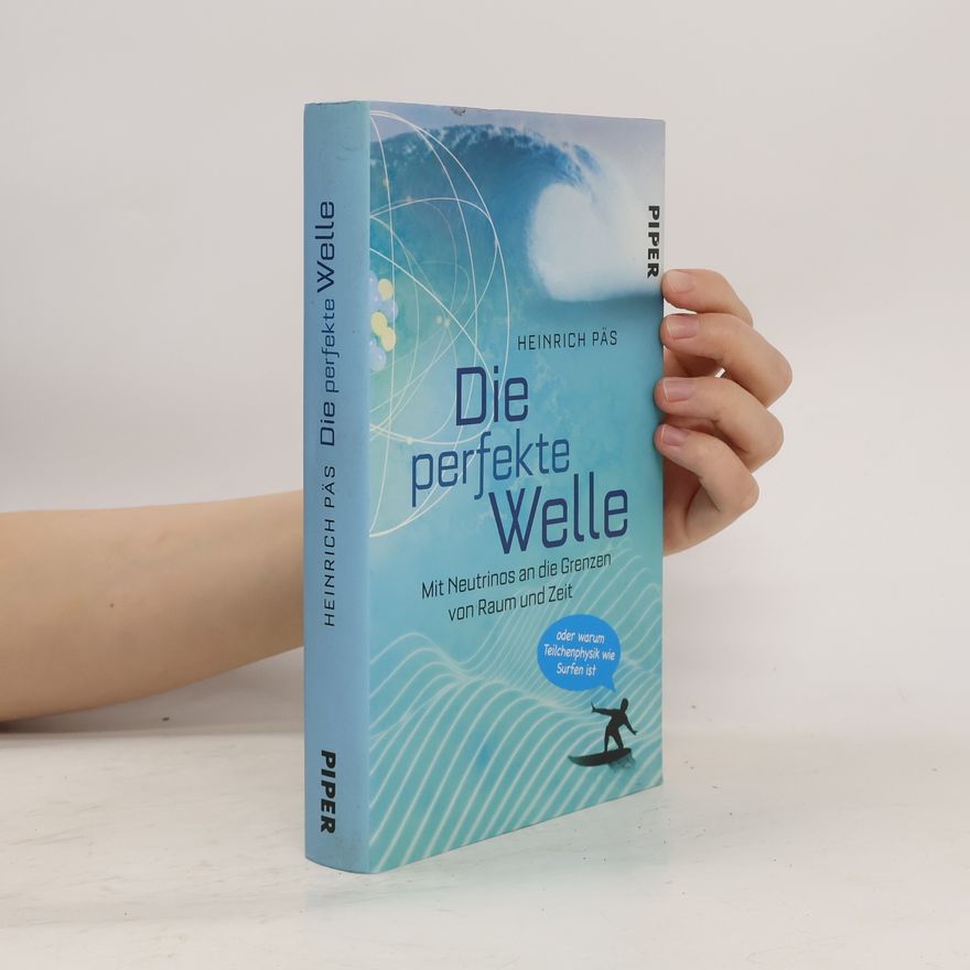 Heinrich Päs Die perfekte Welle