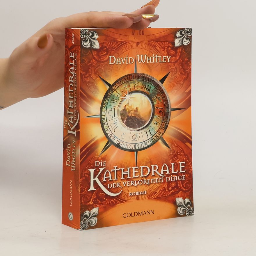 David Whitley Die Kathedrale der verlorenen Dinge