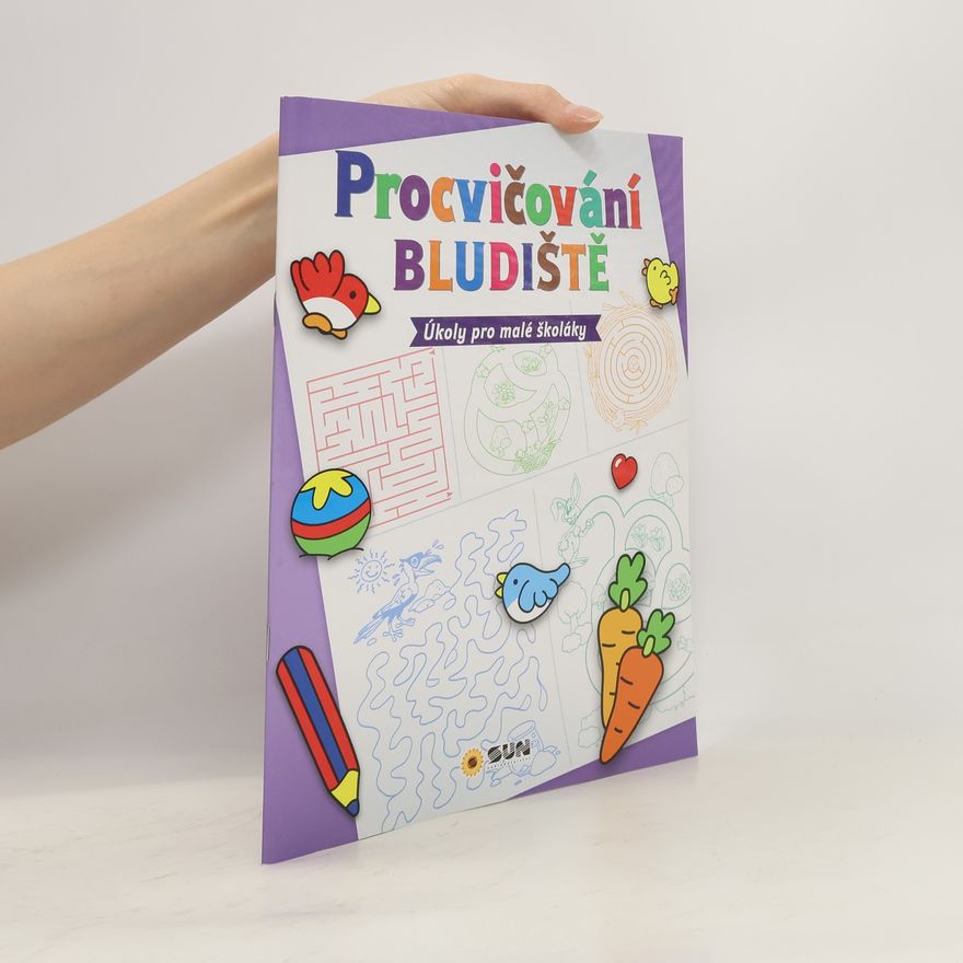 Autorenkollektiv Procvičování - Bludiště