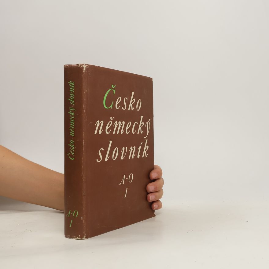 Autorenkollektiv Česko německý slovník I. A-O