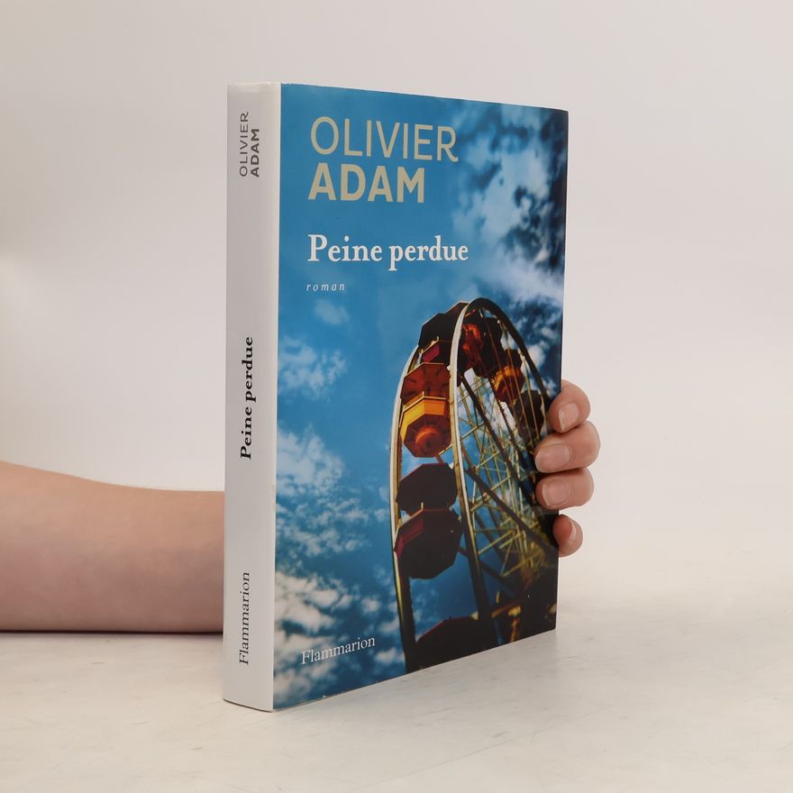 Olivier Adam Peine perdue