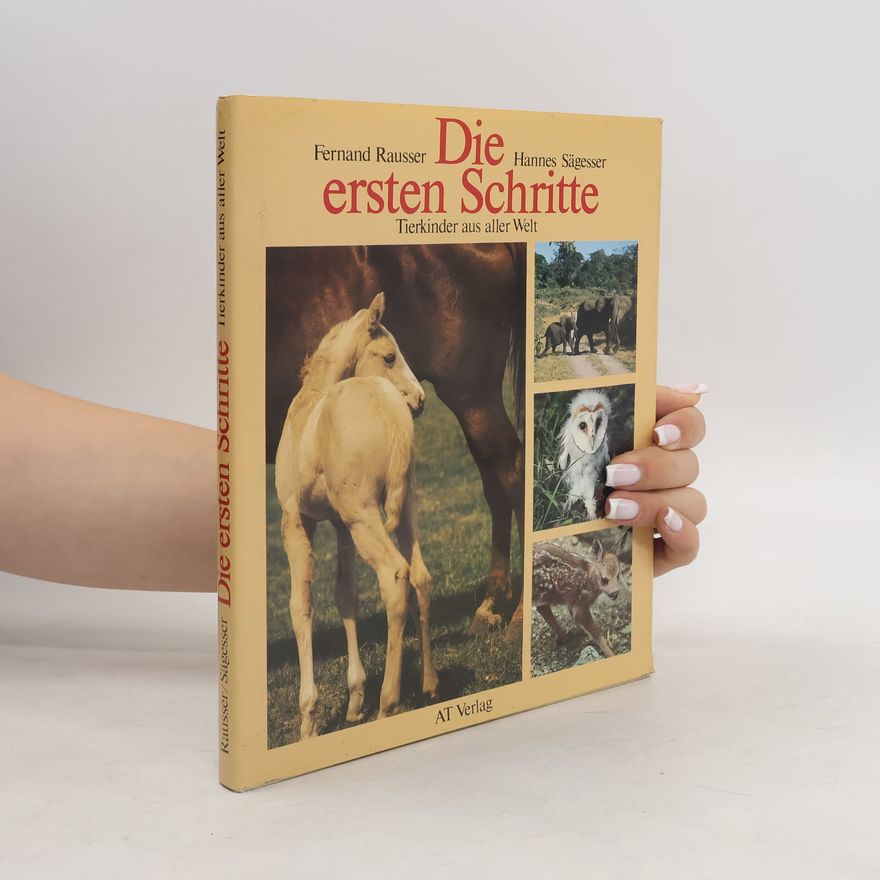 Hannes Sägesser Die ersten Schritte