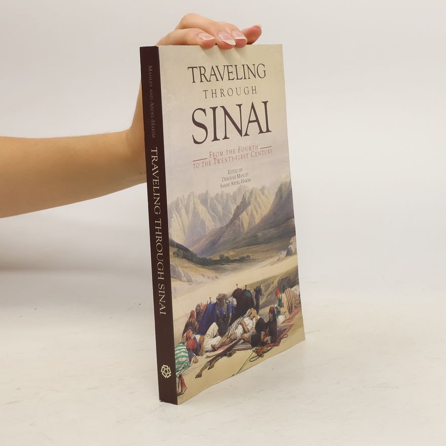 Sahar Abdel-Hakim Traveling Through Sinai