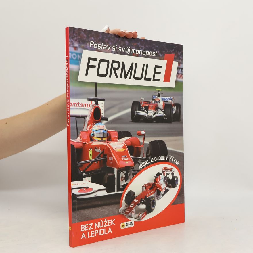 Autorenkollektiv Postav si monopost FORMULE 1