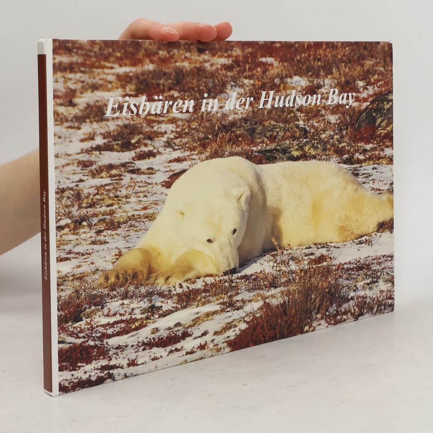 Autorenkollektiv Eisbären in der Hudson Bay