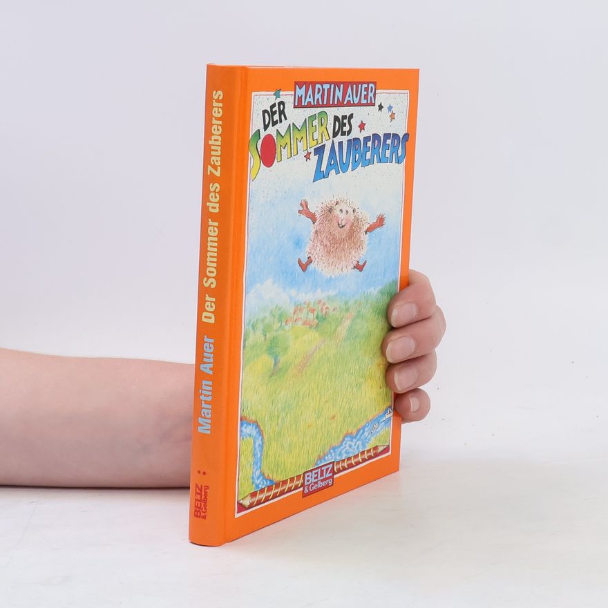 Martin Auer Der Sommer des Zauberers