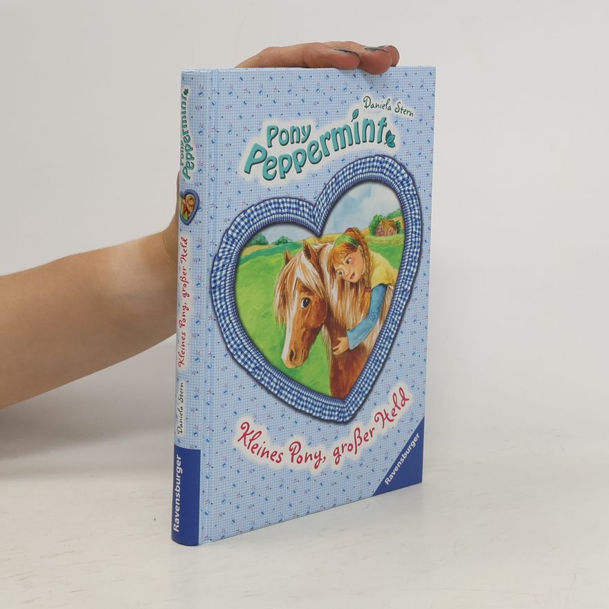 Daniela Stern Kleines Pony, großer Held