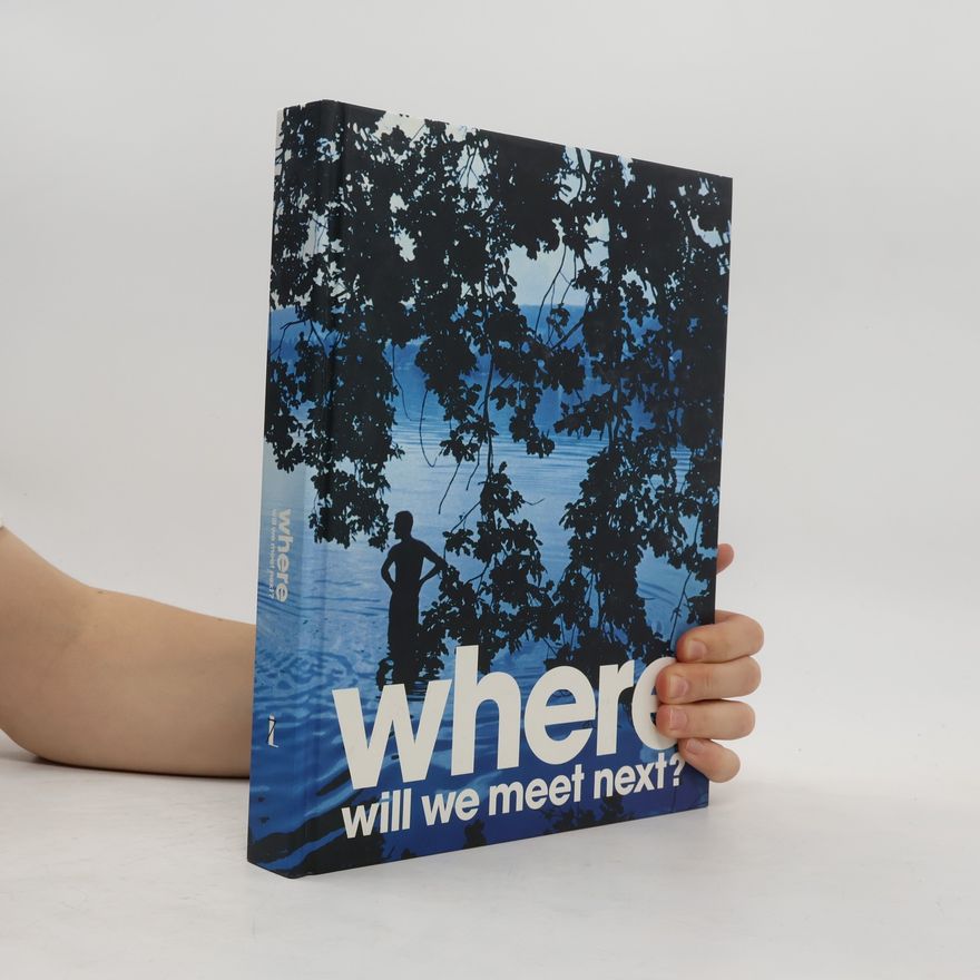 Tobias Schweitzer Where Will We Meet Next?