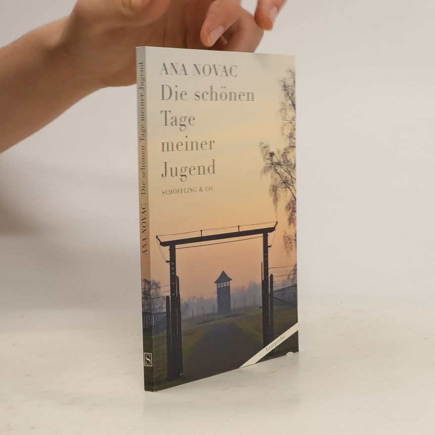 Ana Novac Die schönen Tage meiner Jugend