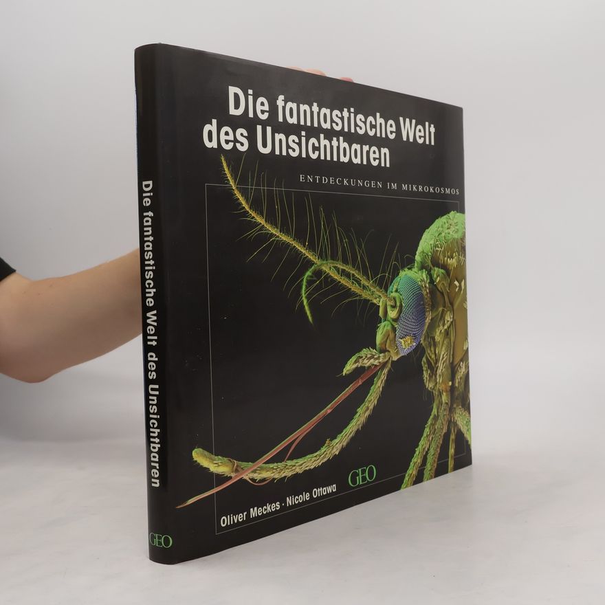 Oliver Meckes Die fantastische Welt des Unsichtbaren