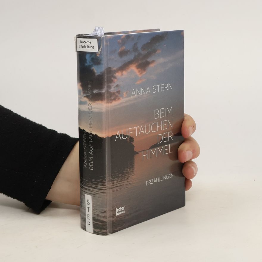 Anna Stern Beim Auftauchen der Himmel