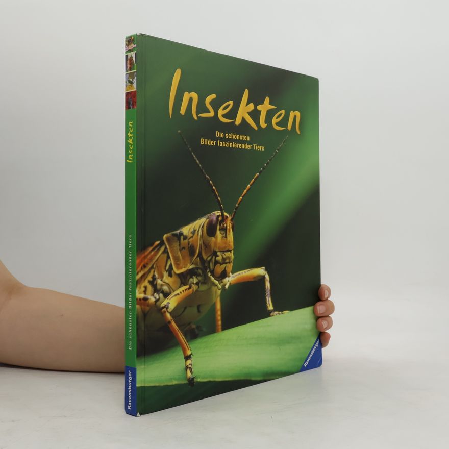 Lionel Valladares Insekten