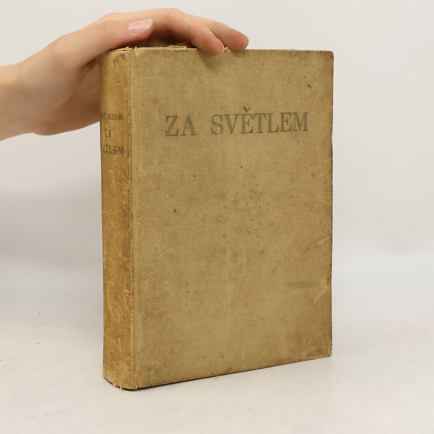 František Bednář Za světlem