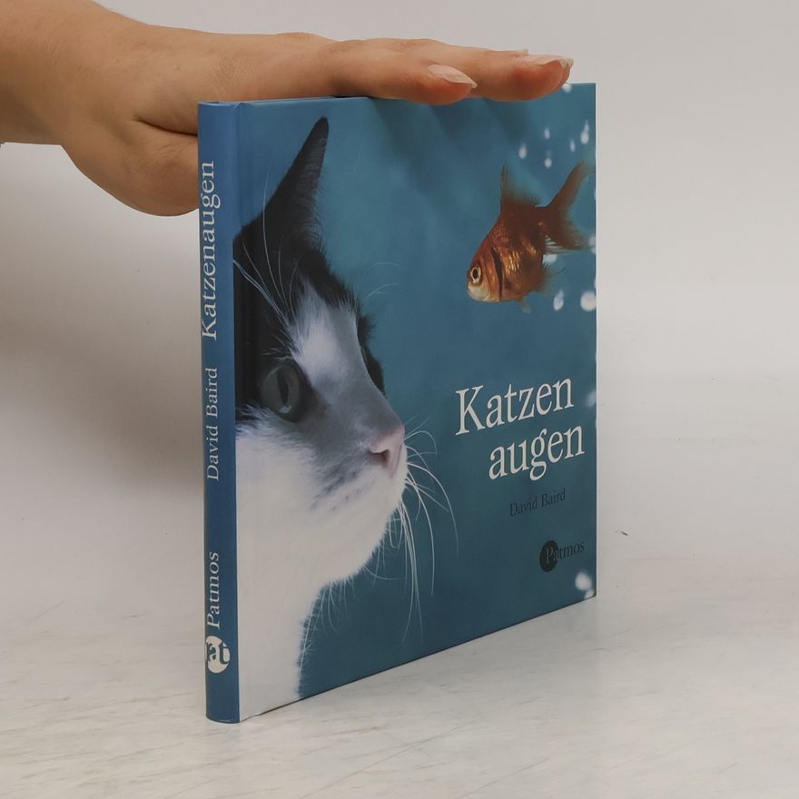 Jens Knipp Katzenaugen