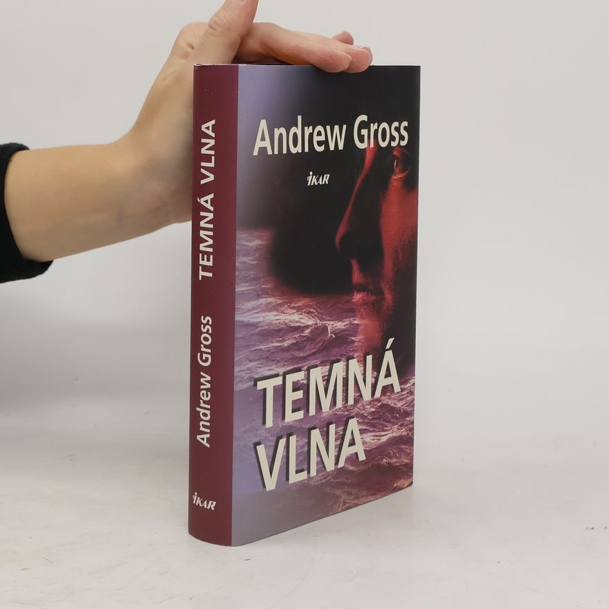 Andrew Gross Temná vlna