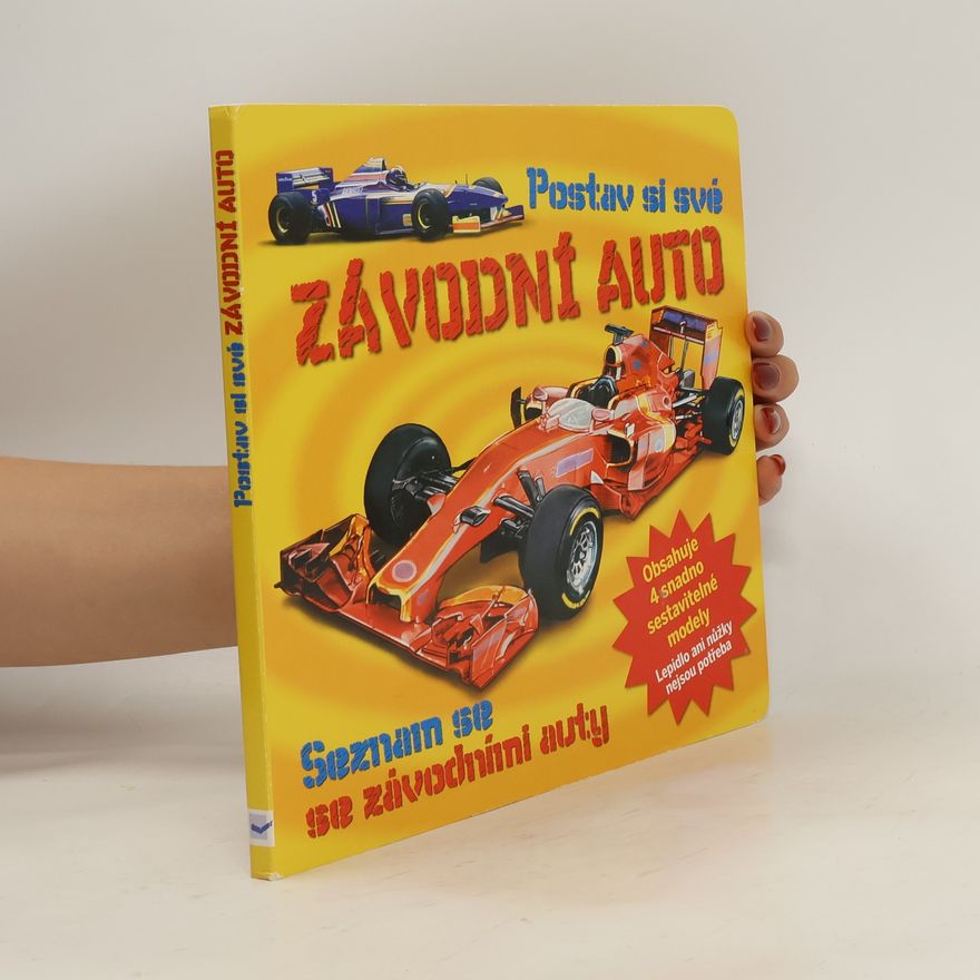 Kolektiv autorů Postav si své závodní auto