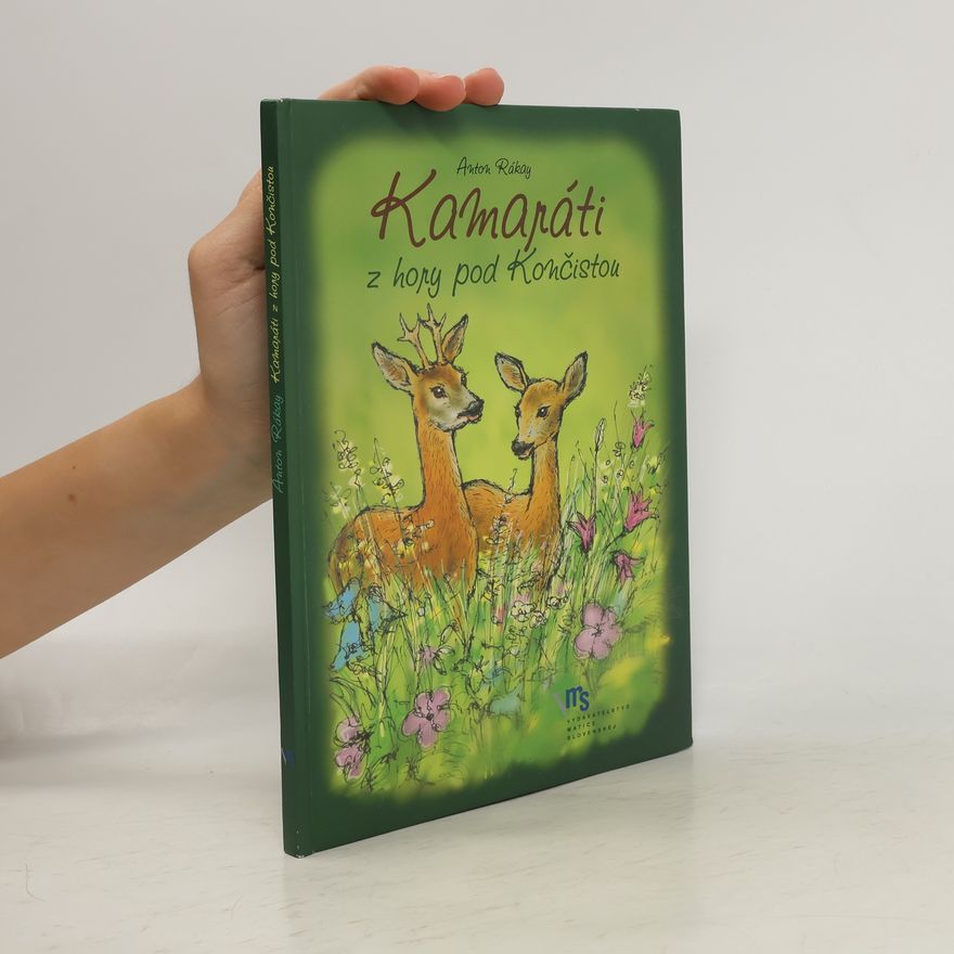 Anton Rákay Kamaráti z hory pod Končistou