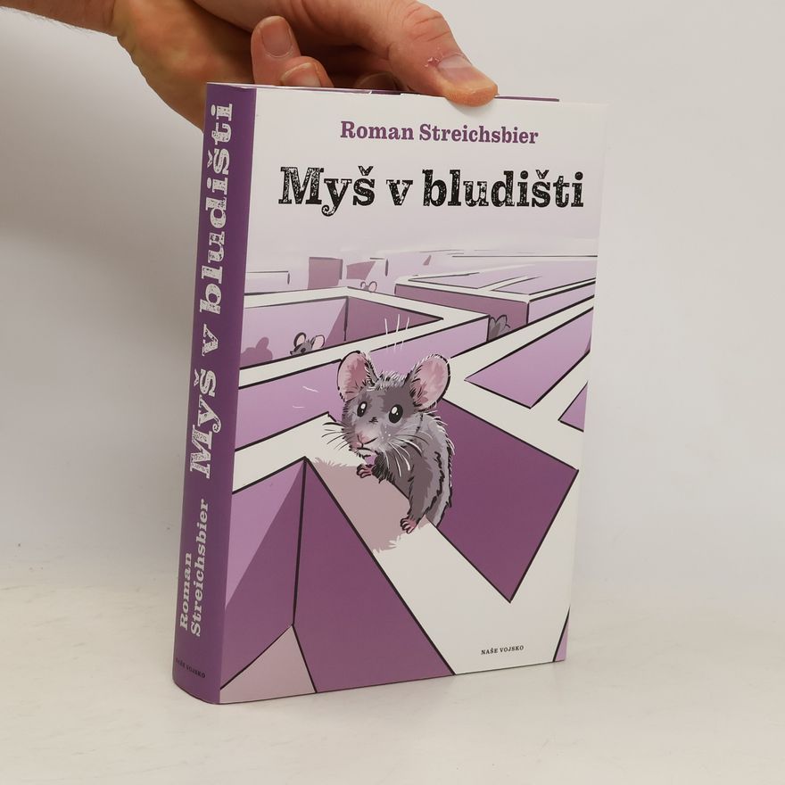 Roman Streichsbier Myš v bludišti