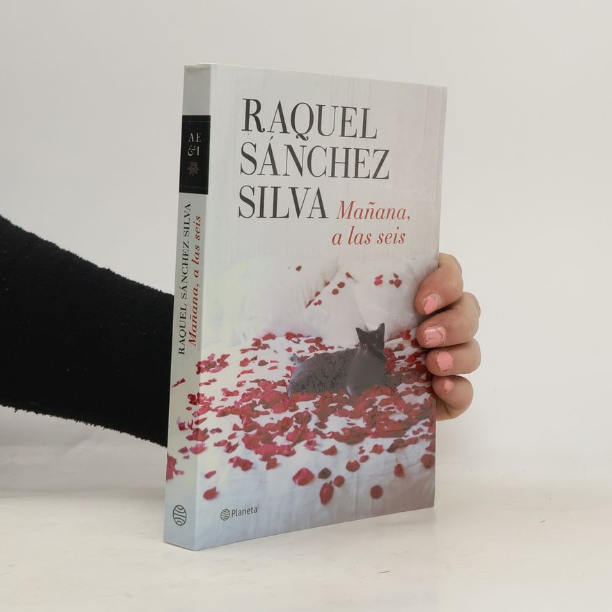 Raquel Sánchez Silva Mañana, a las seis