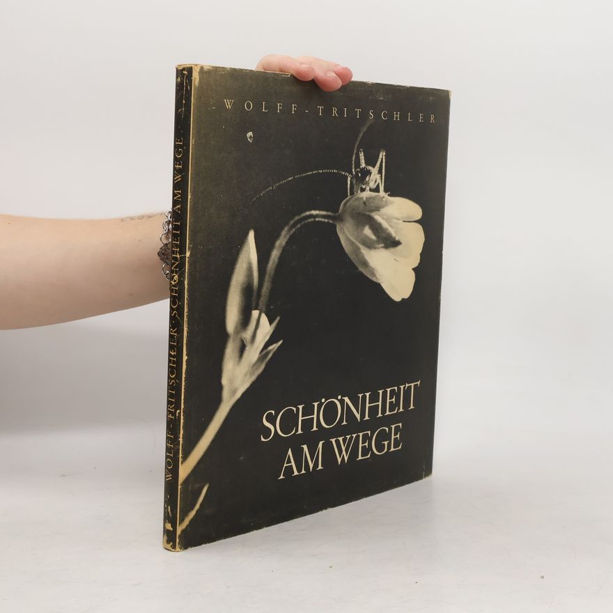 Autorenkollektiv Schönheit am Wege