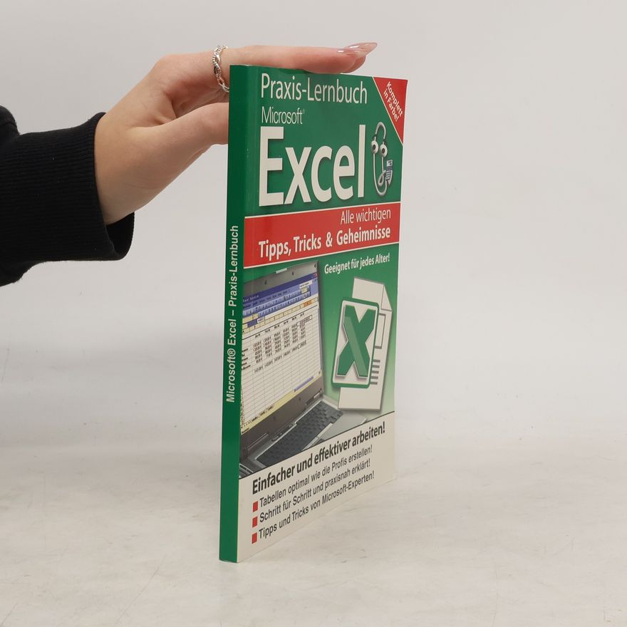 Harald Mayer Microsoft Excel - Praxis-Lernbuch