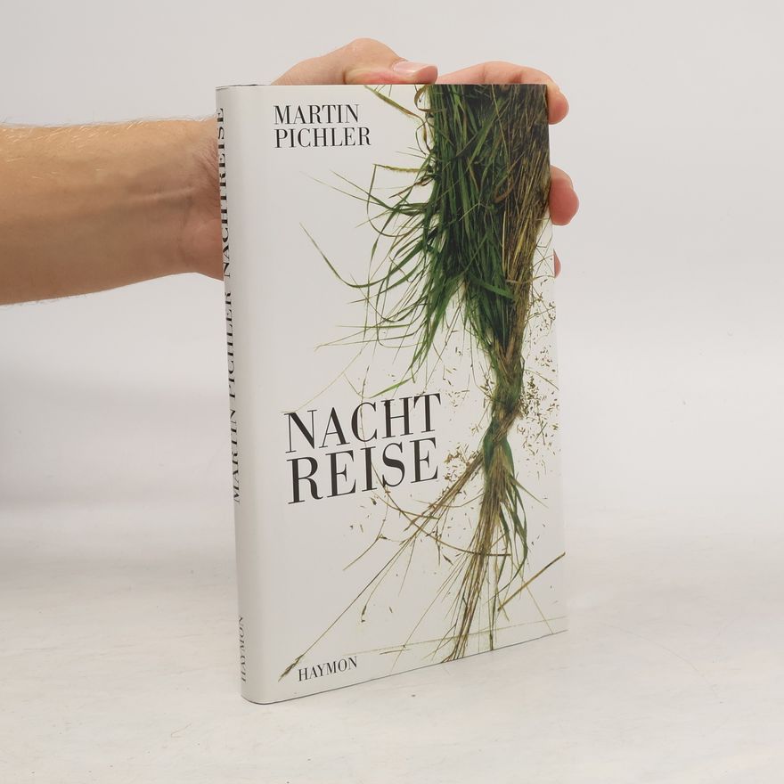Martin Pichler Nachtreise