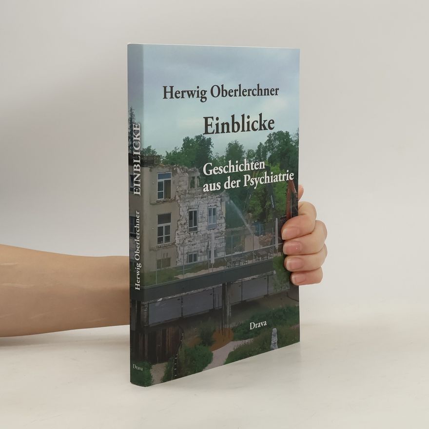 Herwig Oberlerchner Einblicke