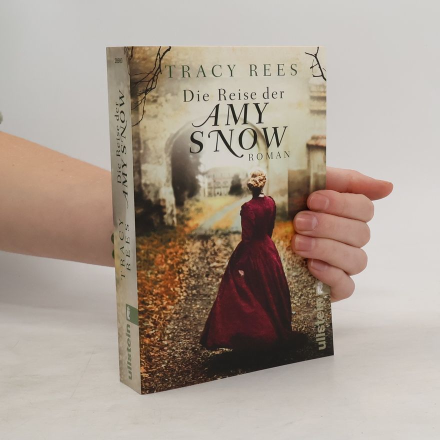 Tracy Rees Die Reise der Amy Snow