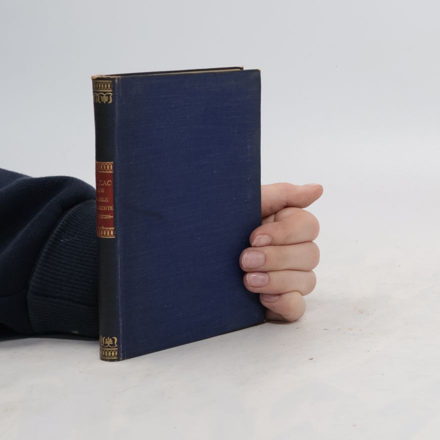 Honoré de Balzac Gesammelte Werke 17. Eine dunkle Geschicht