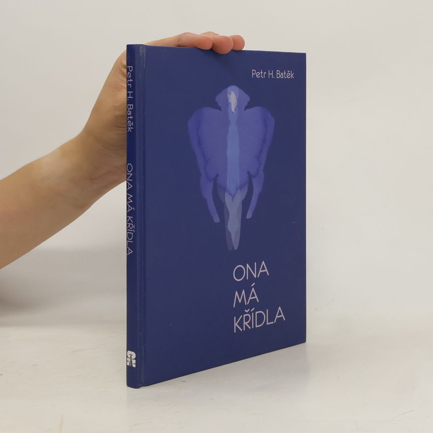 Petr Batěk Ona má křídla