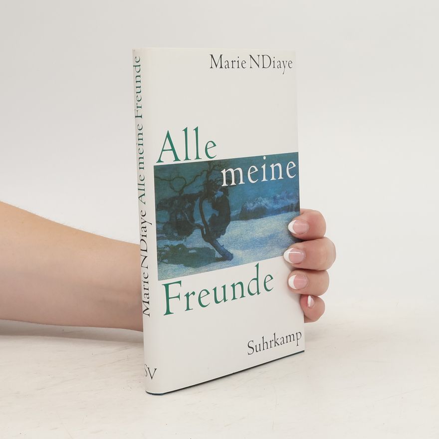 Marie NDiaye Alle meine Freunde