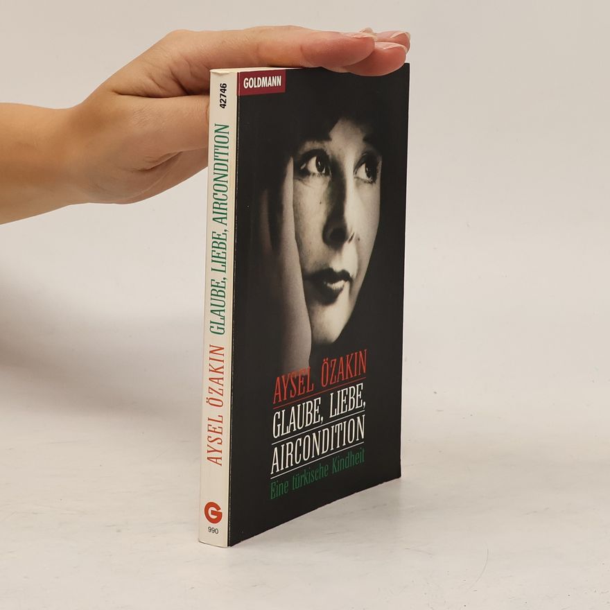 Aysel Özakın Glaube, Liebe, Aircondition