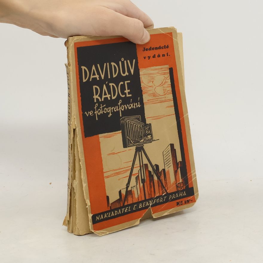 David Ludvík Davidův rádce ve fotografování