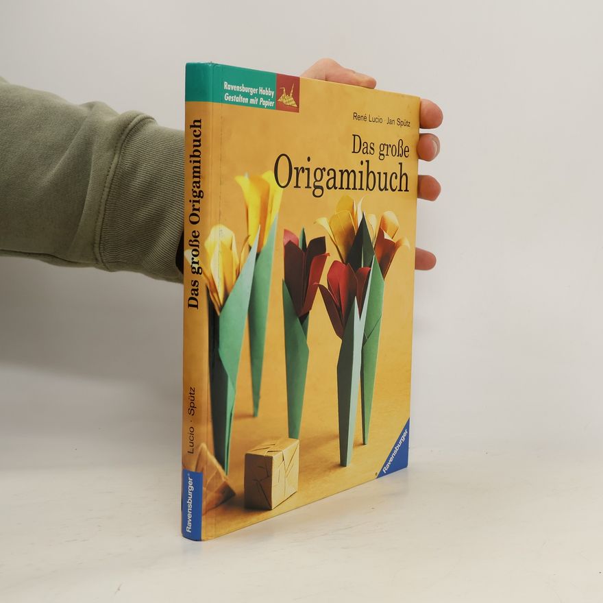 Rene Lucio Das grosse Origamibuch