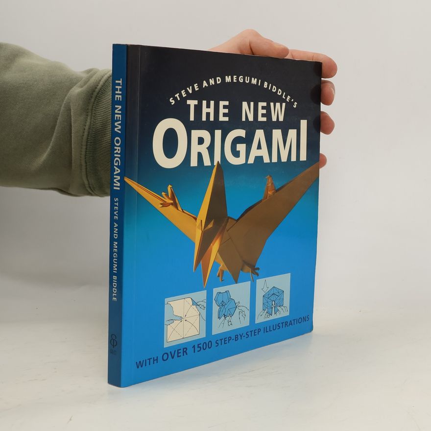 Megumi Biddle The New Origami