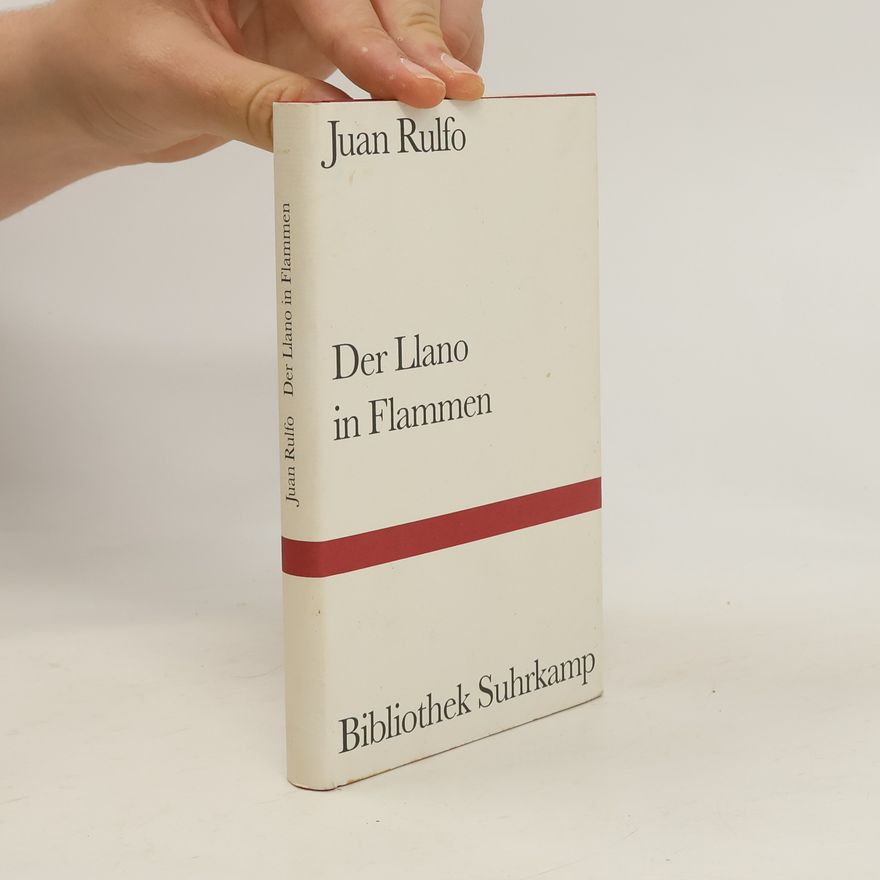 Juan Rulfo Der Llano in Flammen
