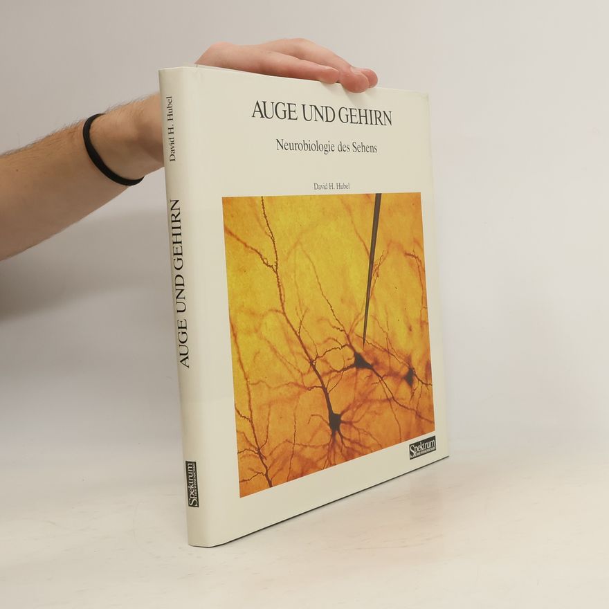 David H. Hubel Auge und Gehirn