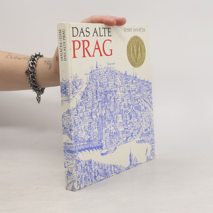 Josef Janáček Das alte Prag