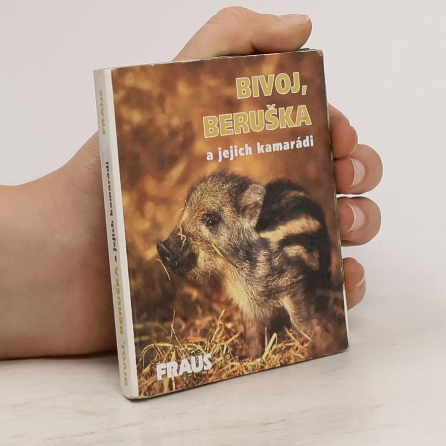 Václav Chaloupek Bivoj, Beruška a její kamarádi
