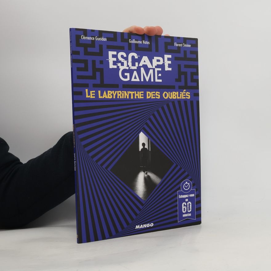 Florent Steiner Le labyrinthe des oubliés